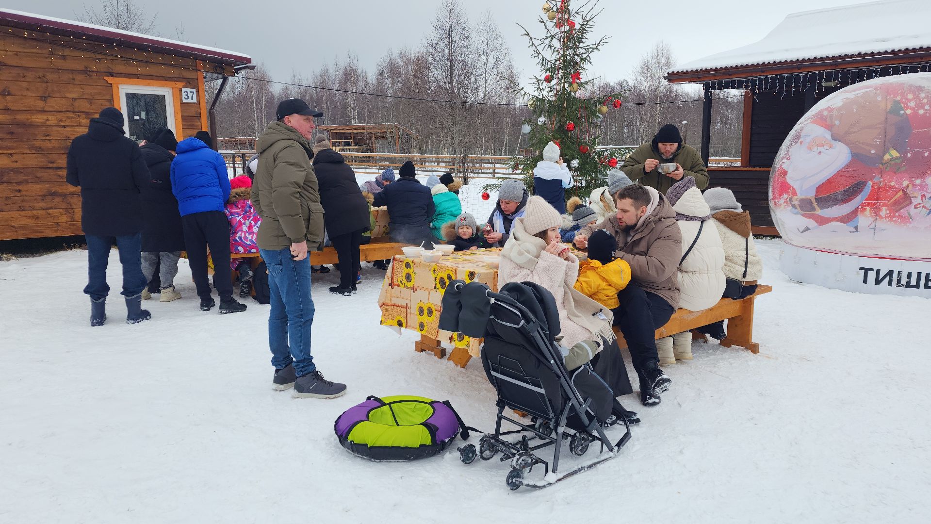 лотошино, зоопространство, контактный зоопарк, семейный досуг,