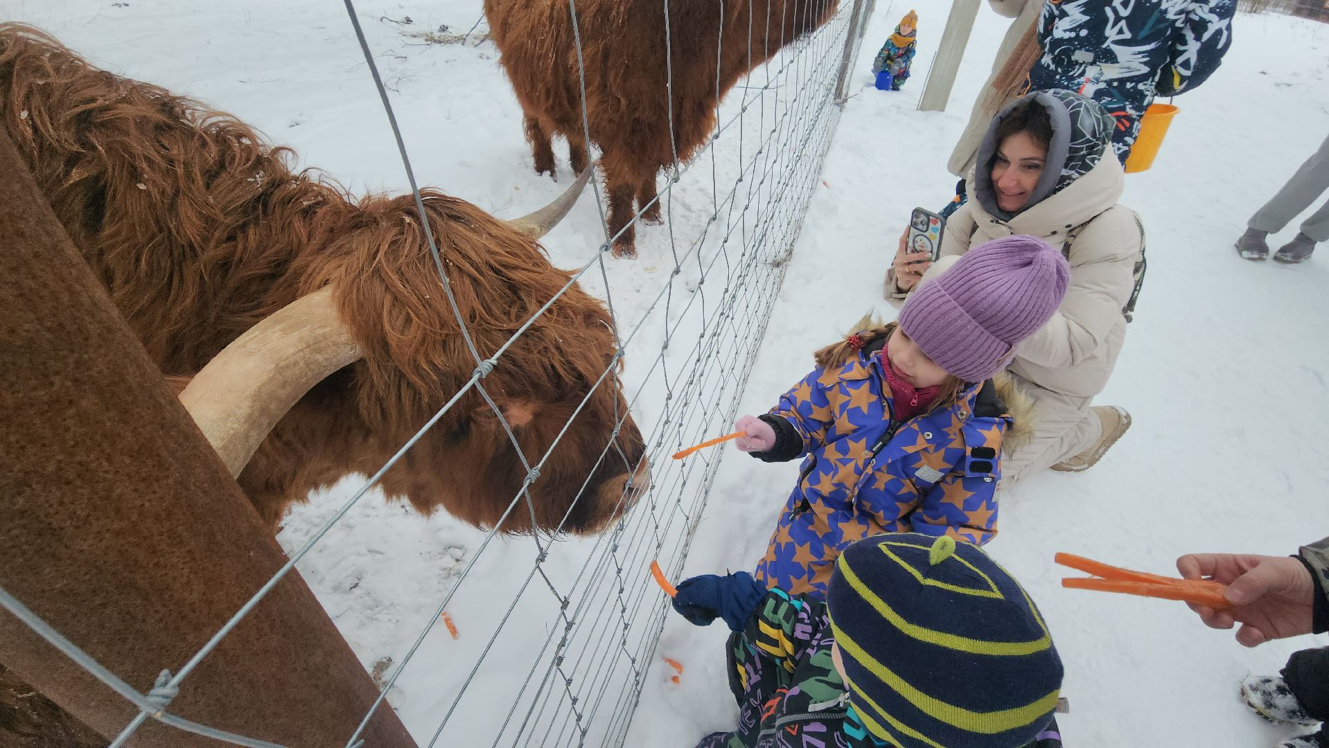 лотошино, зоопространство, контактный зоопарк, семейный досуг,