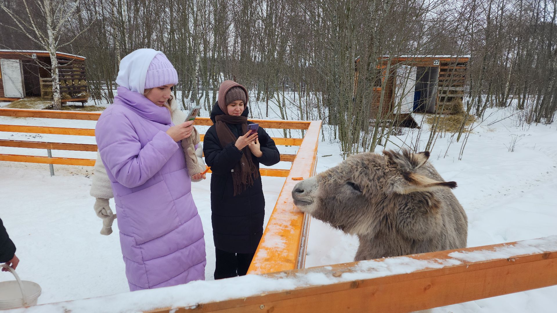лотошино, зоопространство, контактный зоопарк, семейный досуг,