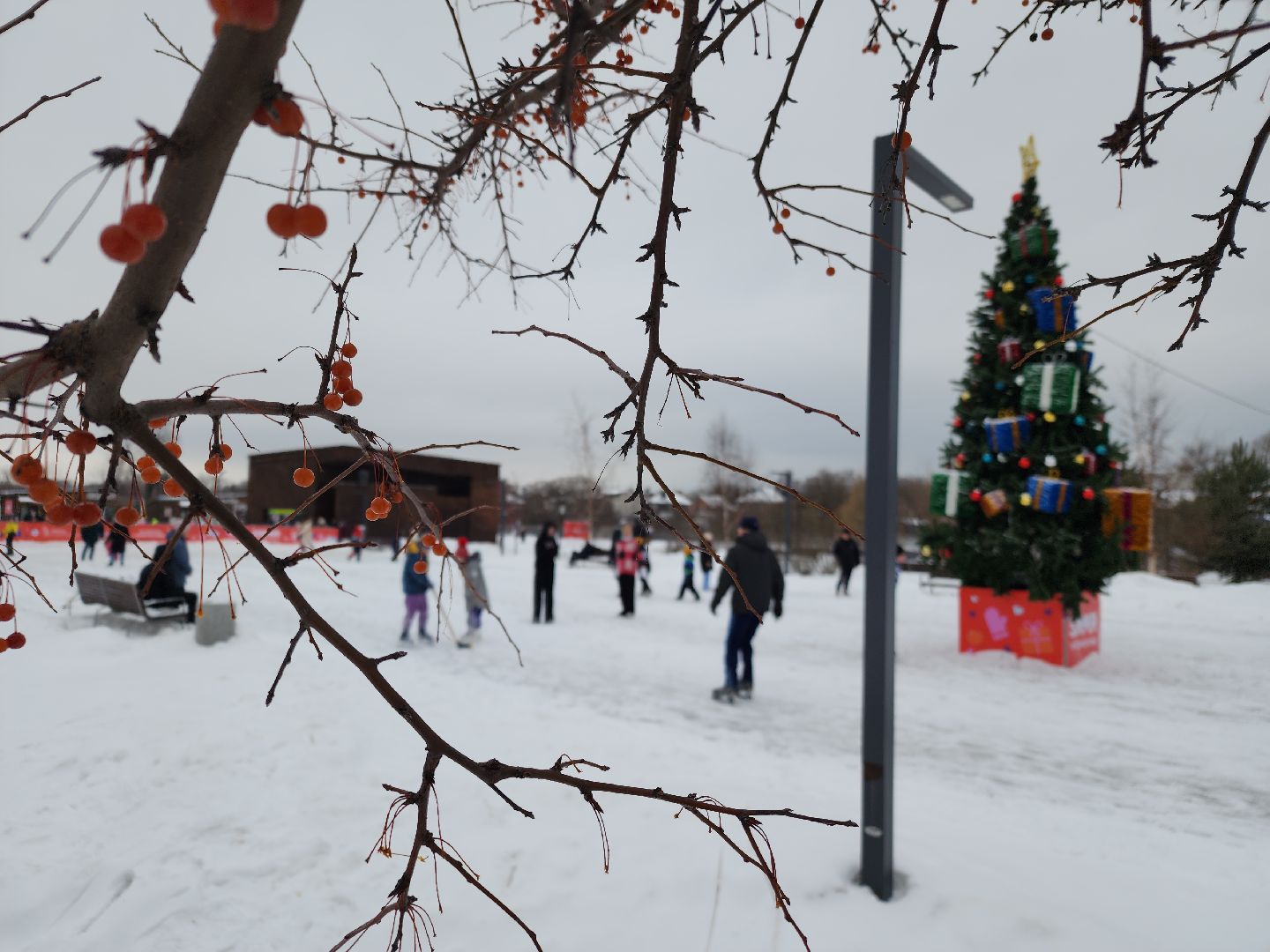 вертикалки, рождество, парки подмосковья, орехово-зуево,