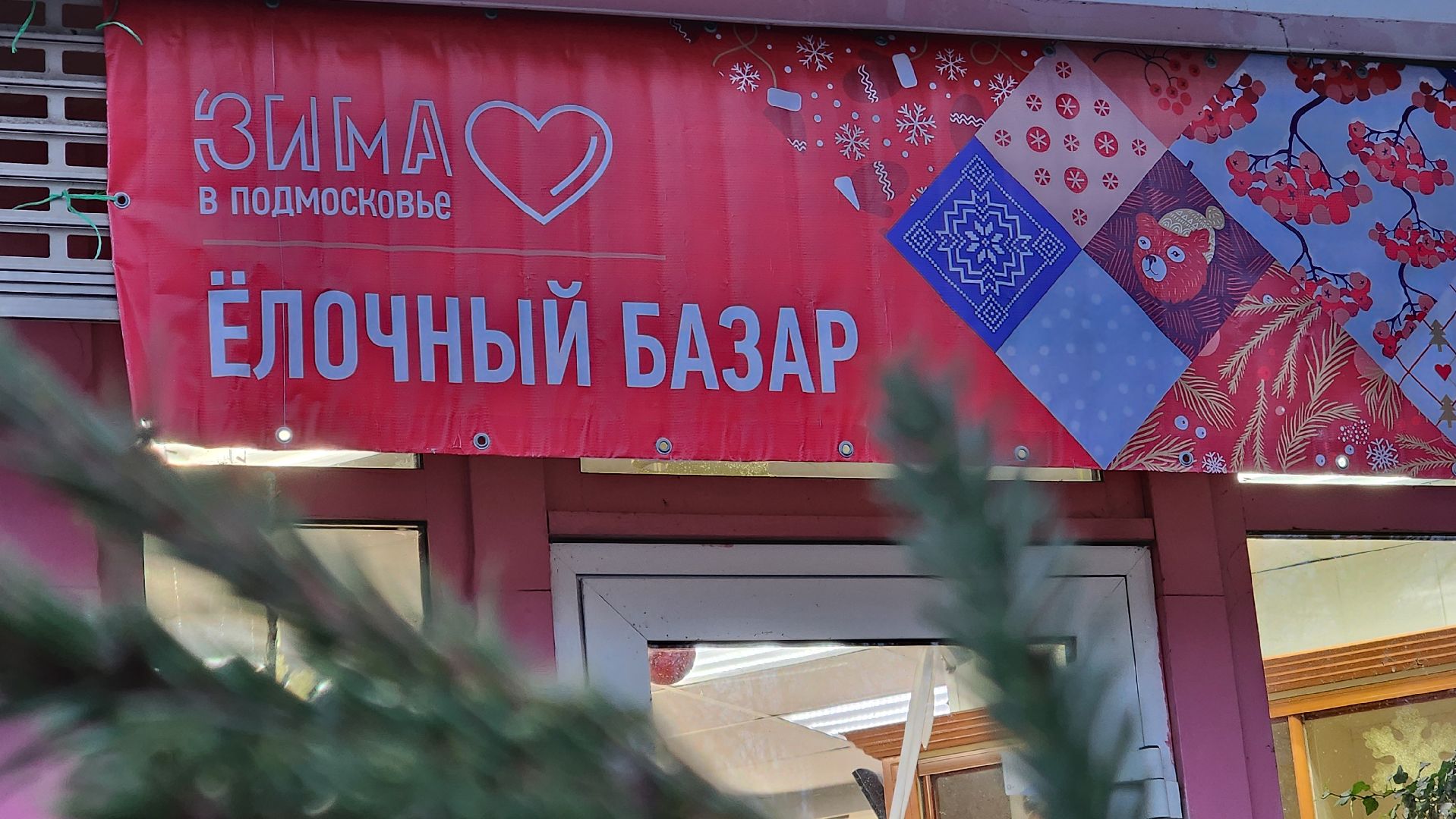 Бронницы, Сосна на новый год, Уход за живой сосной, Новый год, Жители Бронниц, елочный базар,