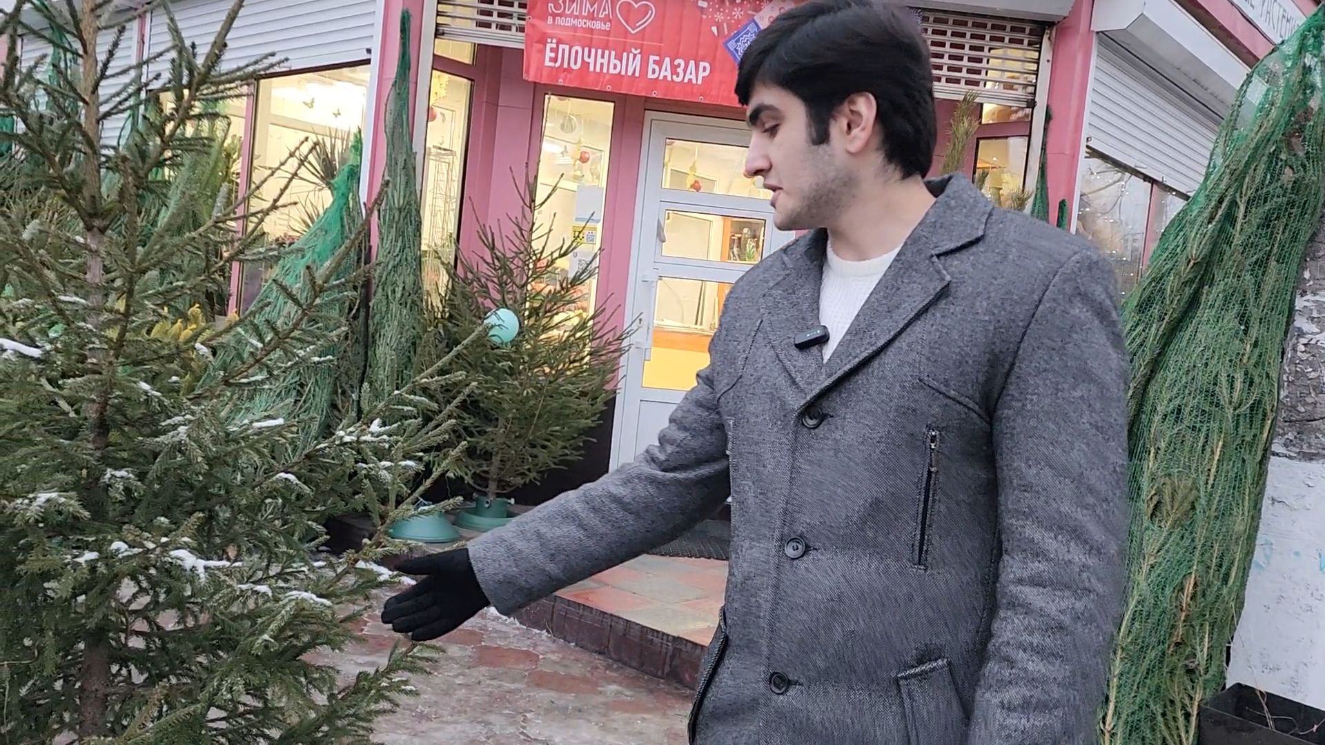 Бронницы, елочные базары, Купить ель в Бронницах, Подготовки к новому году,Вертикалка,