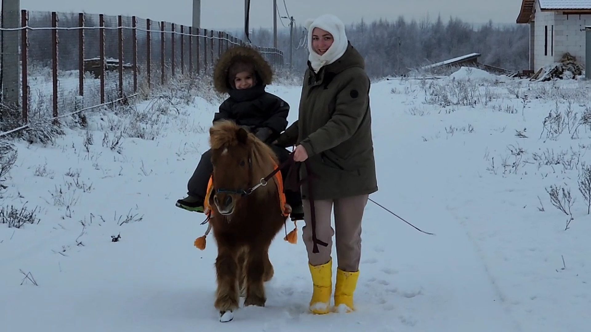 Раменское, Туризм, гастротуризм, Ферма 56, Животные на ферме,Вертикалка,