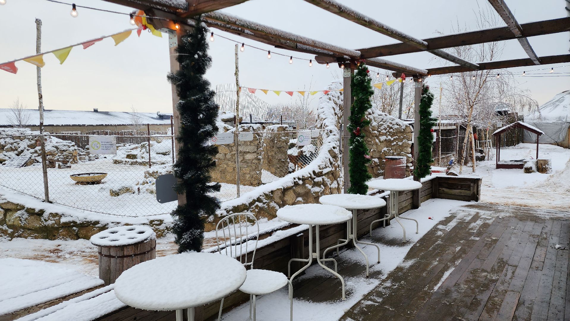 Раменское, Туризм, гастротуризм, Ферма 56, Животные на ферме,Вертикалка,