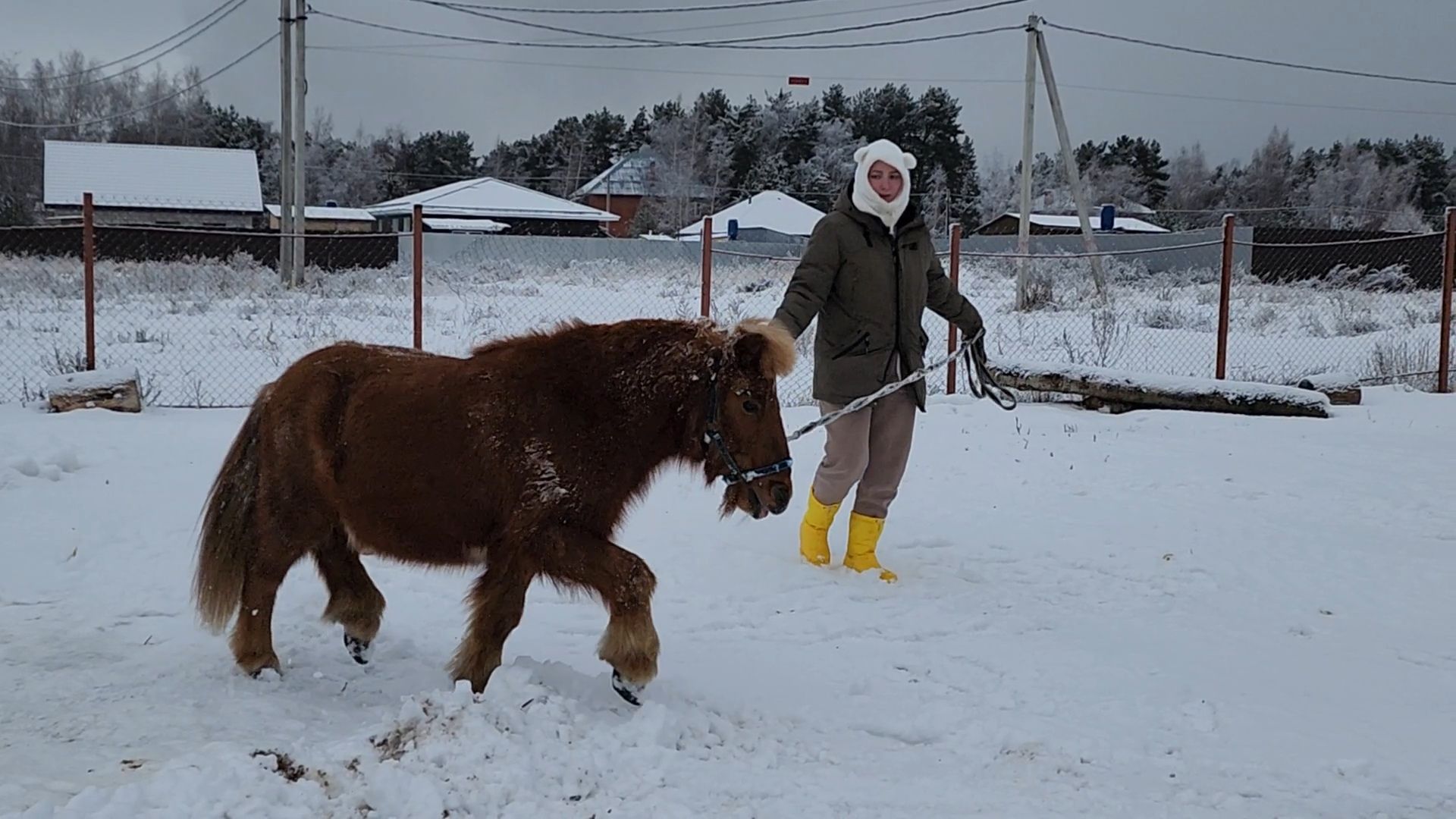 Раменское, Туризм, гастротуризм, Ферма 56, Животные на ферме,Вертикалка,