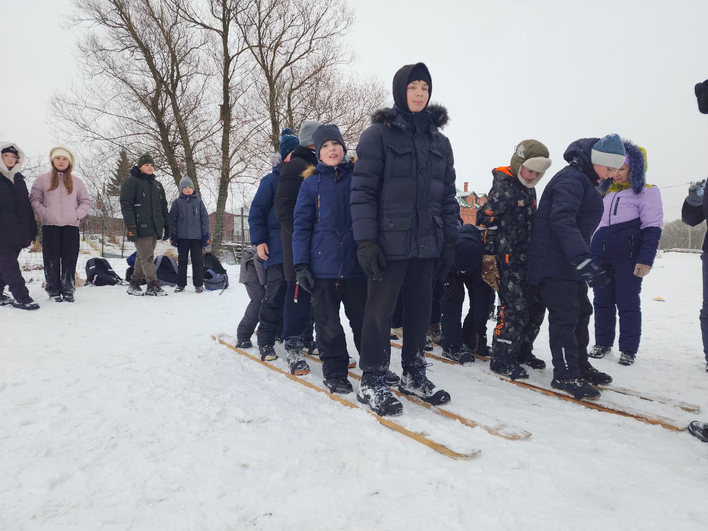 Зарайск, Рождество в Рожново, вертикалки,