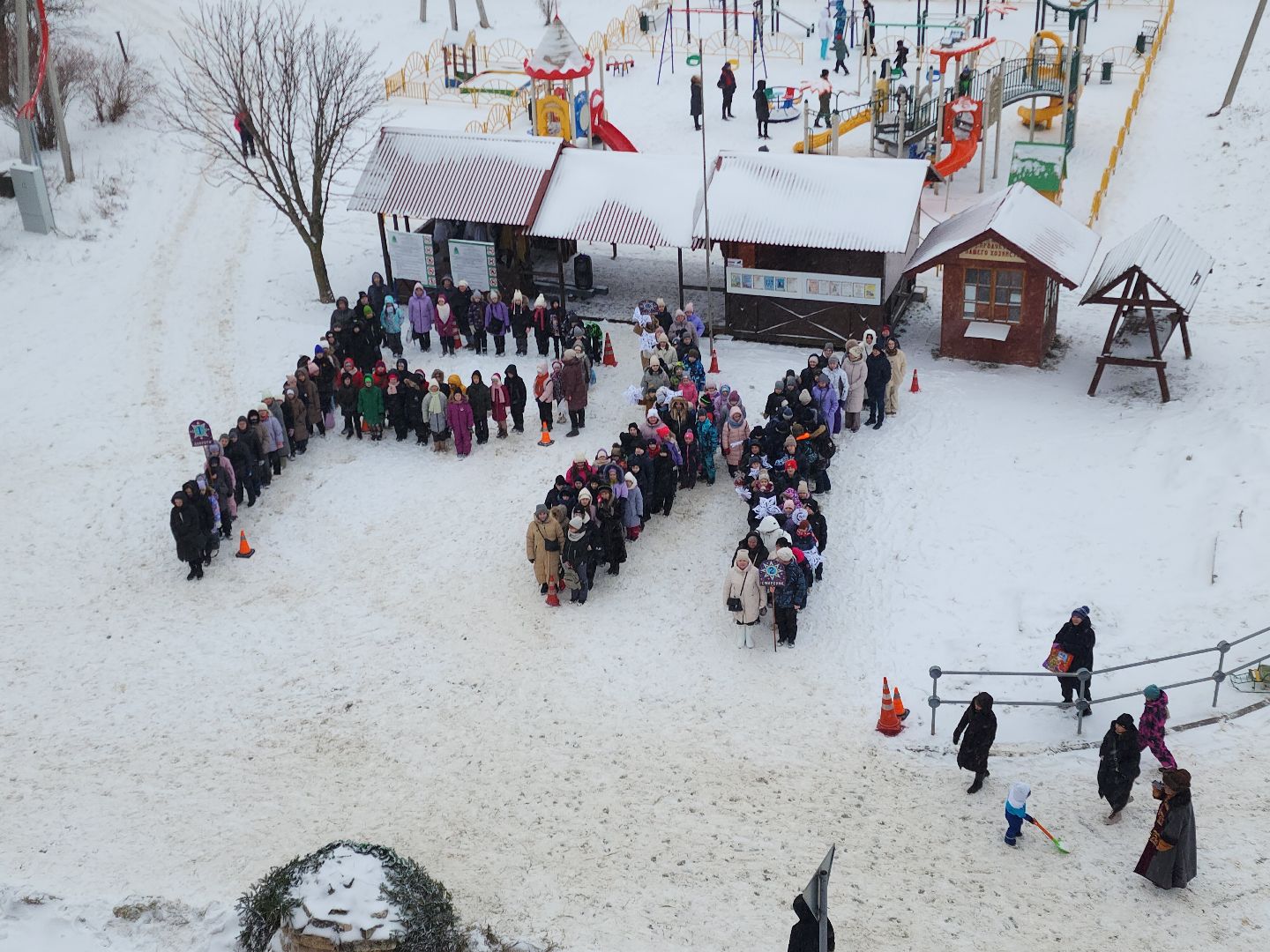 Зарайск, Рождество в Рожново, вертикалки,