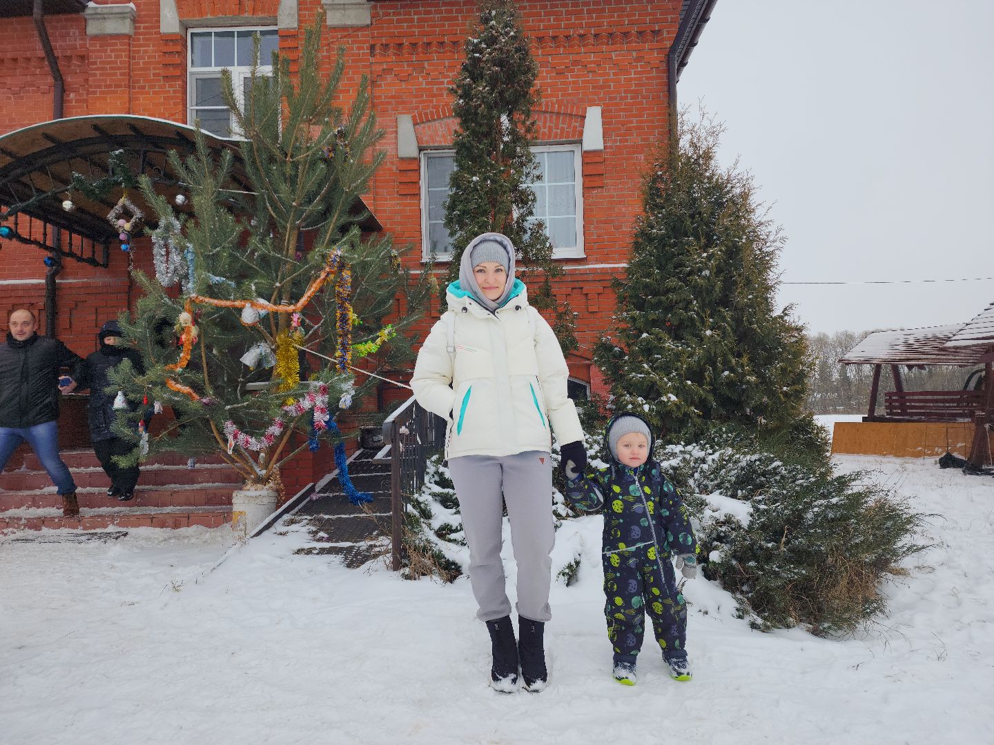 Зарайск, Рождество в Рожново, вертикалки,