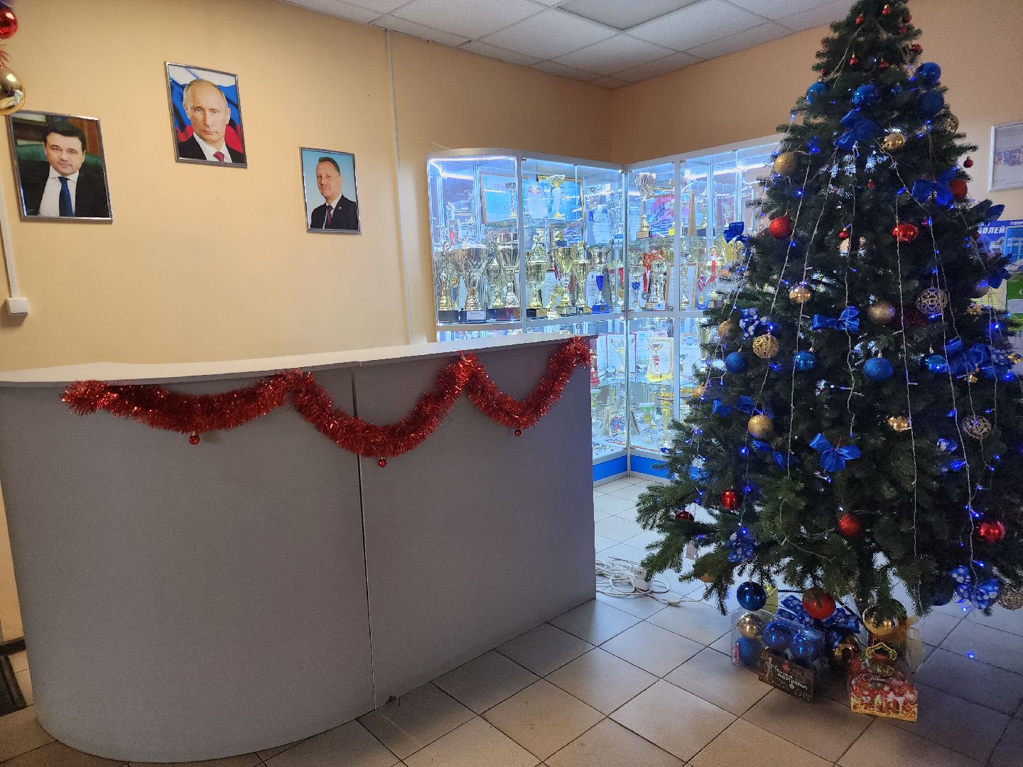 Зарайск, Ледовый дворец, Каток,