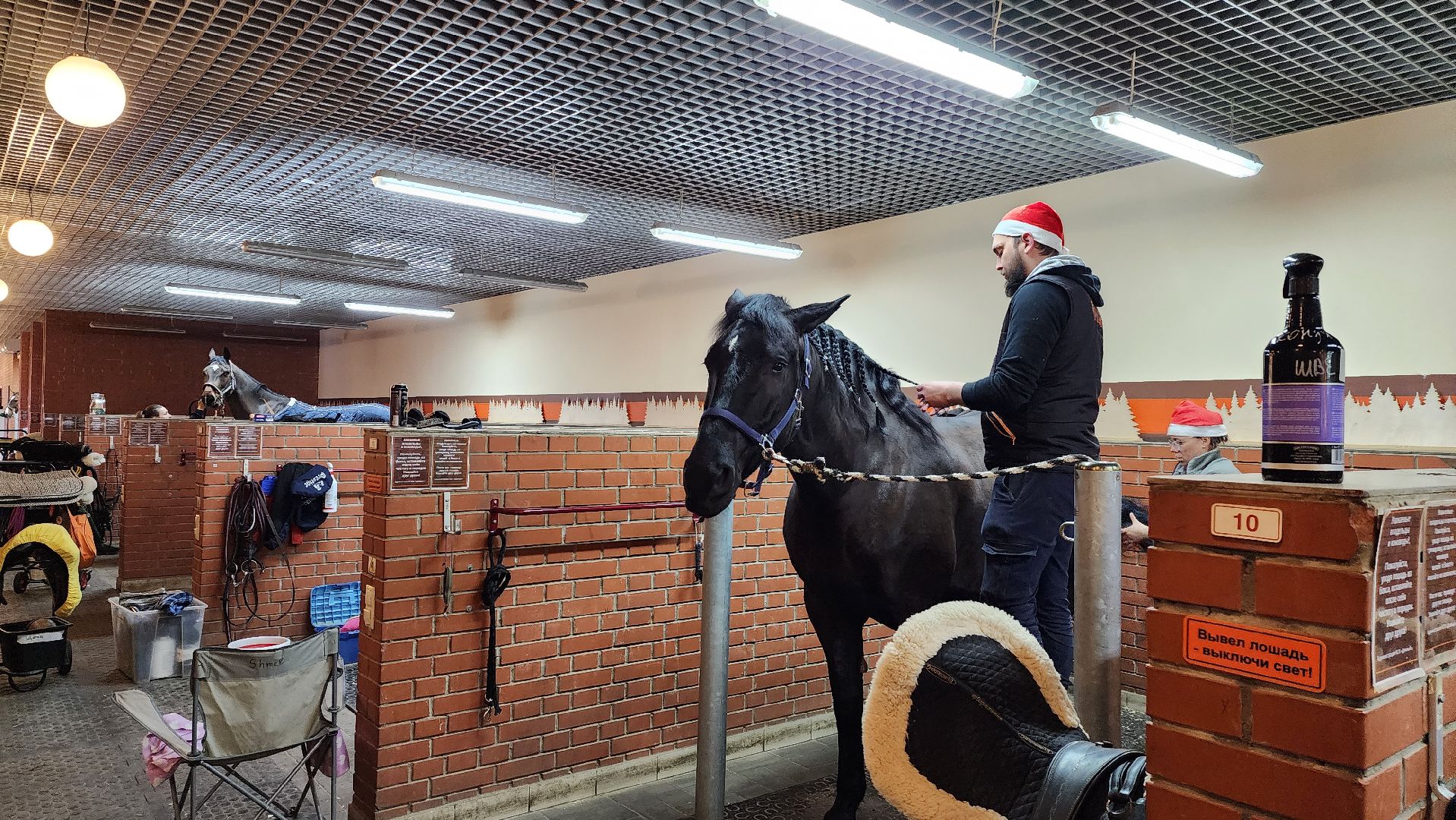 истра, конный клуб, конный спорт, вертикалки,