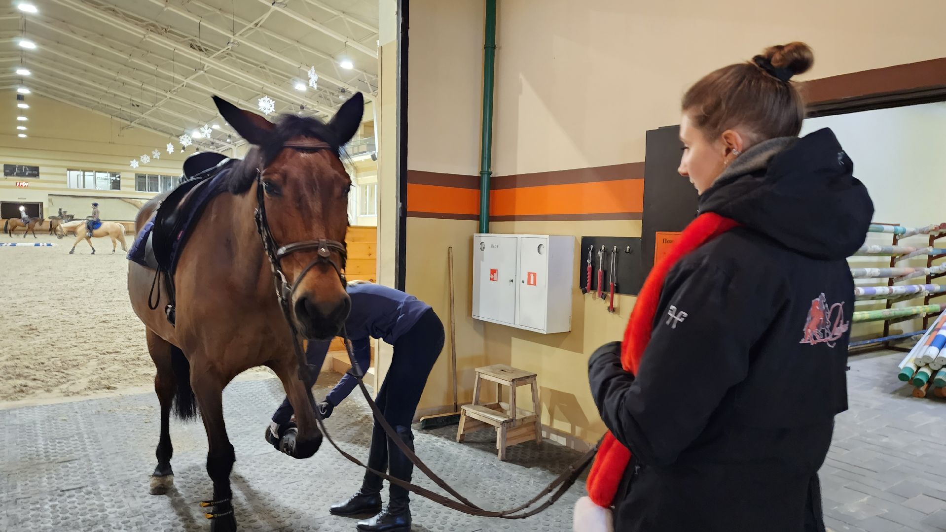 истра, конный клуб, конный спорт, вертикалки,