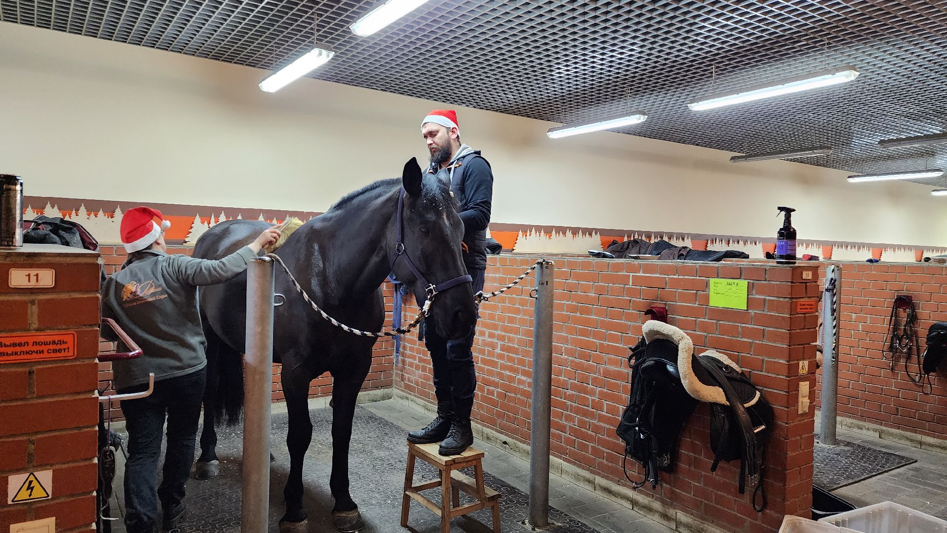 истра, конный клуб, конный спорт, вертикалки,