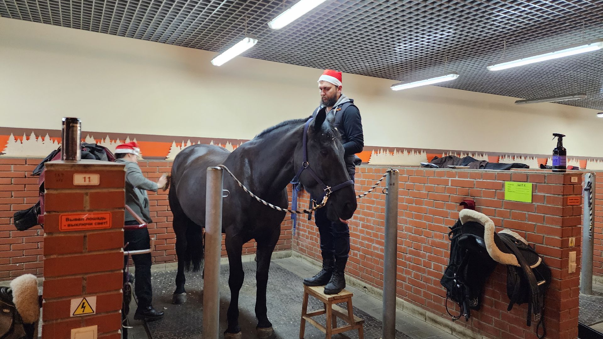 истра, конный клуб, конный спорт, вертикалки,