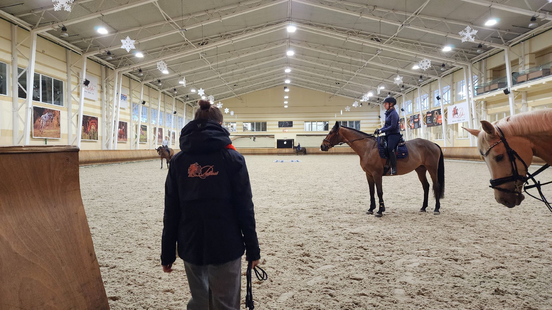 истра, конный клуб, конный спорт, вертикалки,