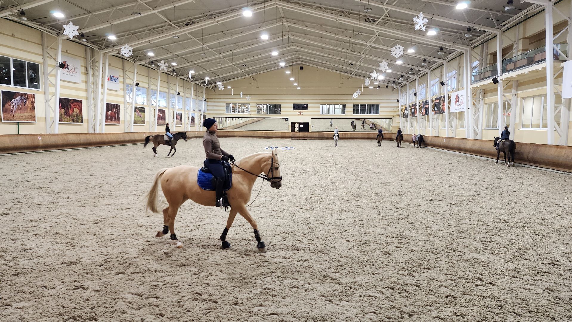 истра, конный клуб, конный спорт, вертикалки,