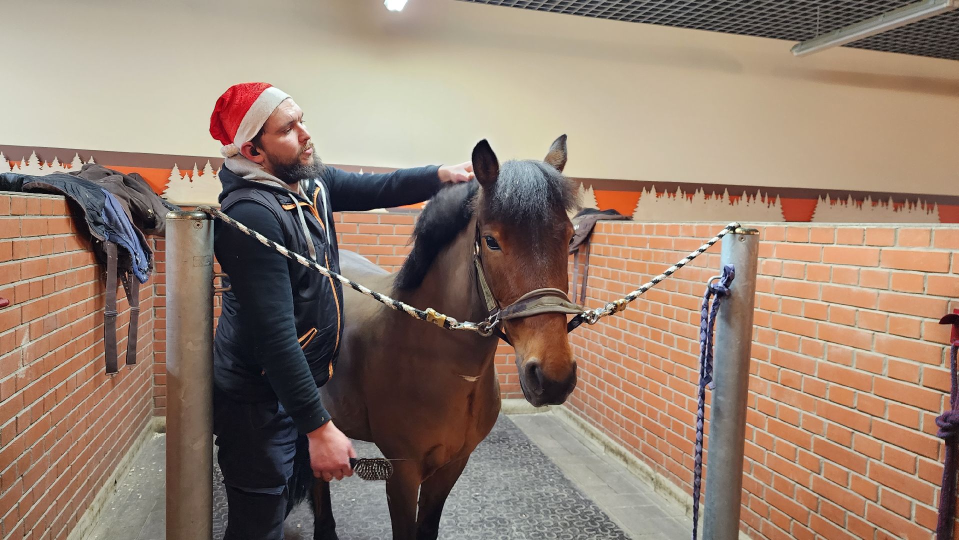 истра, конный клуб, конный спорт, вертикалки,