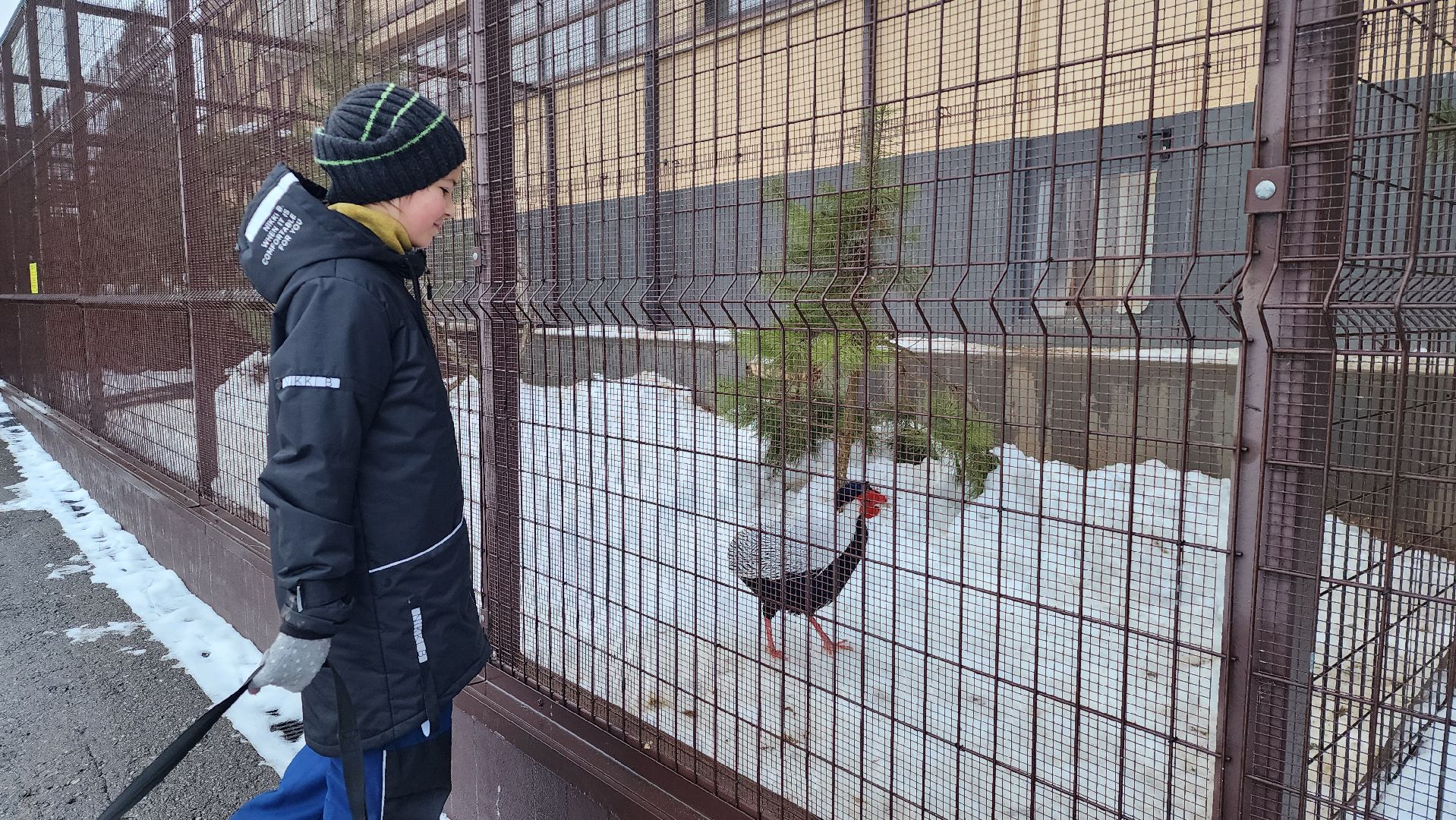 истра, туризм, конный клуб, тюбинговая горка, вертикалки,