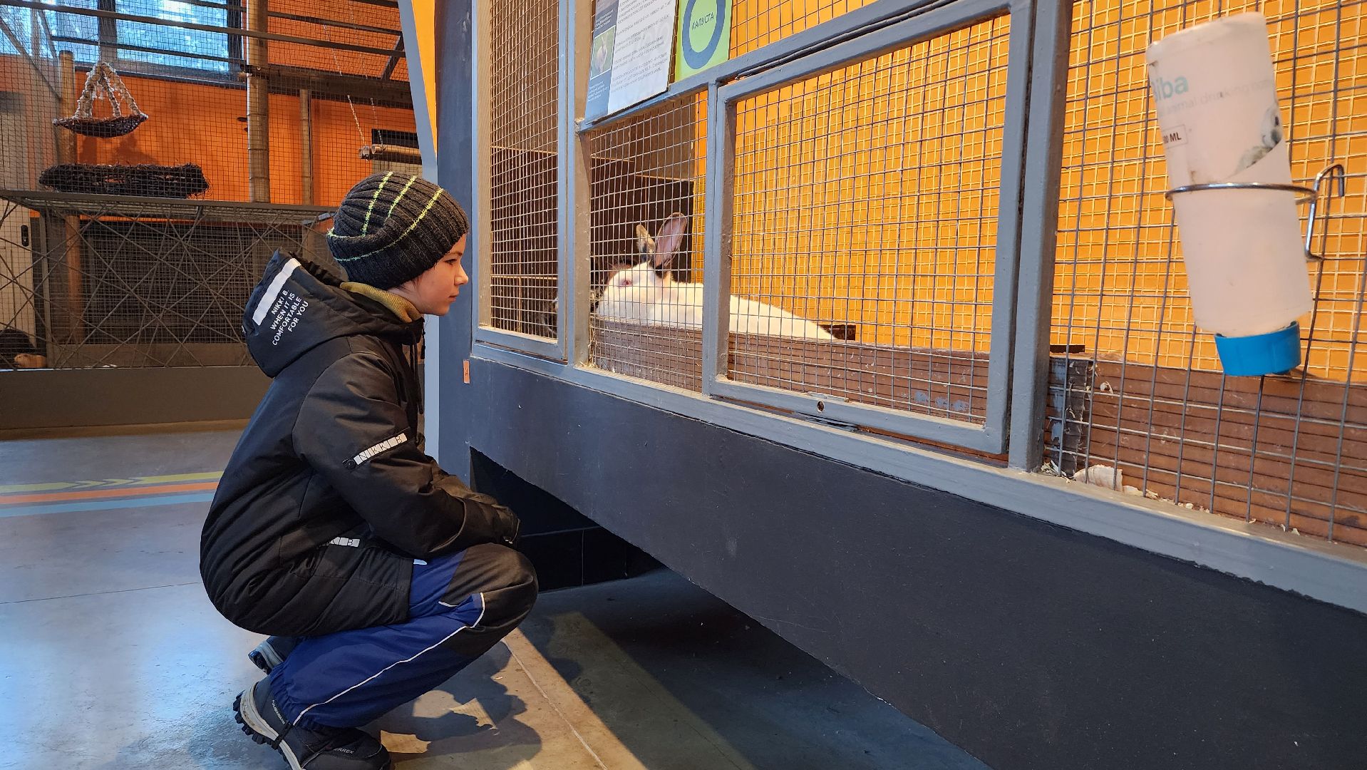 истра, туризм, конный клуб, тюбинговая горка, вертикалки,