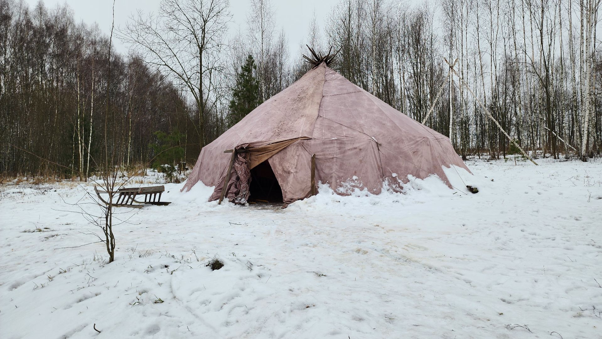 кашира, новогодние каникулы, зоостудия ковчег, животные актёры, фестиваль севера,