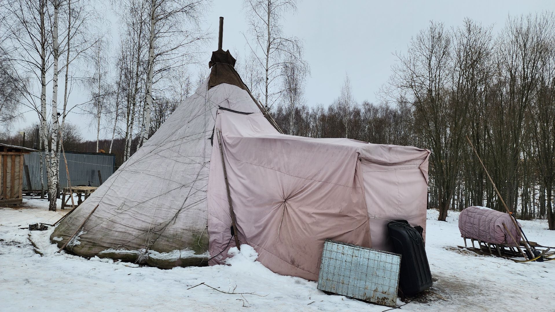 кашира, новогодние каникулы, зоостудия ковчег, животные актёры, фестиваль севера,