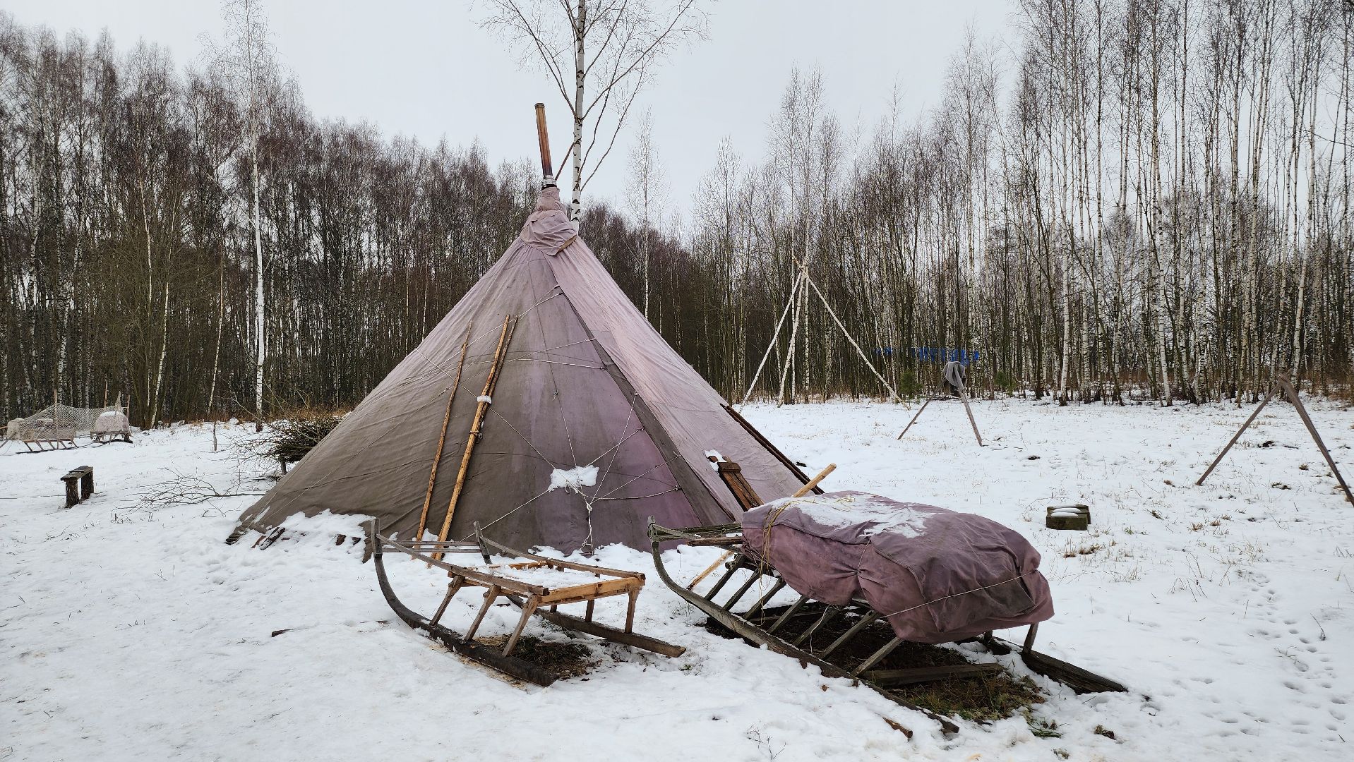 кашира, новогодние каникулы, зоостудия ковчег, животные актёры, фестиваль севера,