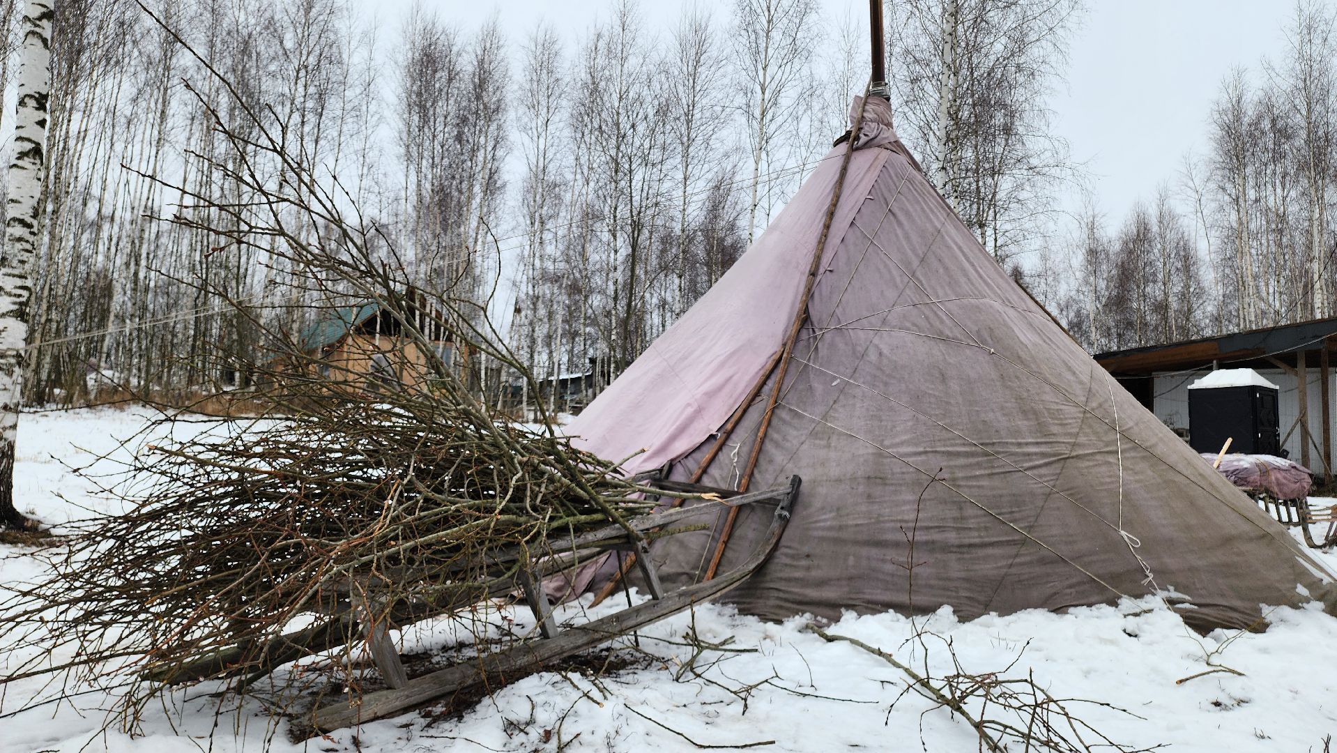 кашира, новогодние каникулы, зоостудия ковчег, животные актёры, фестиваль севера,