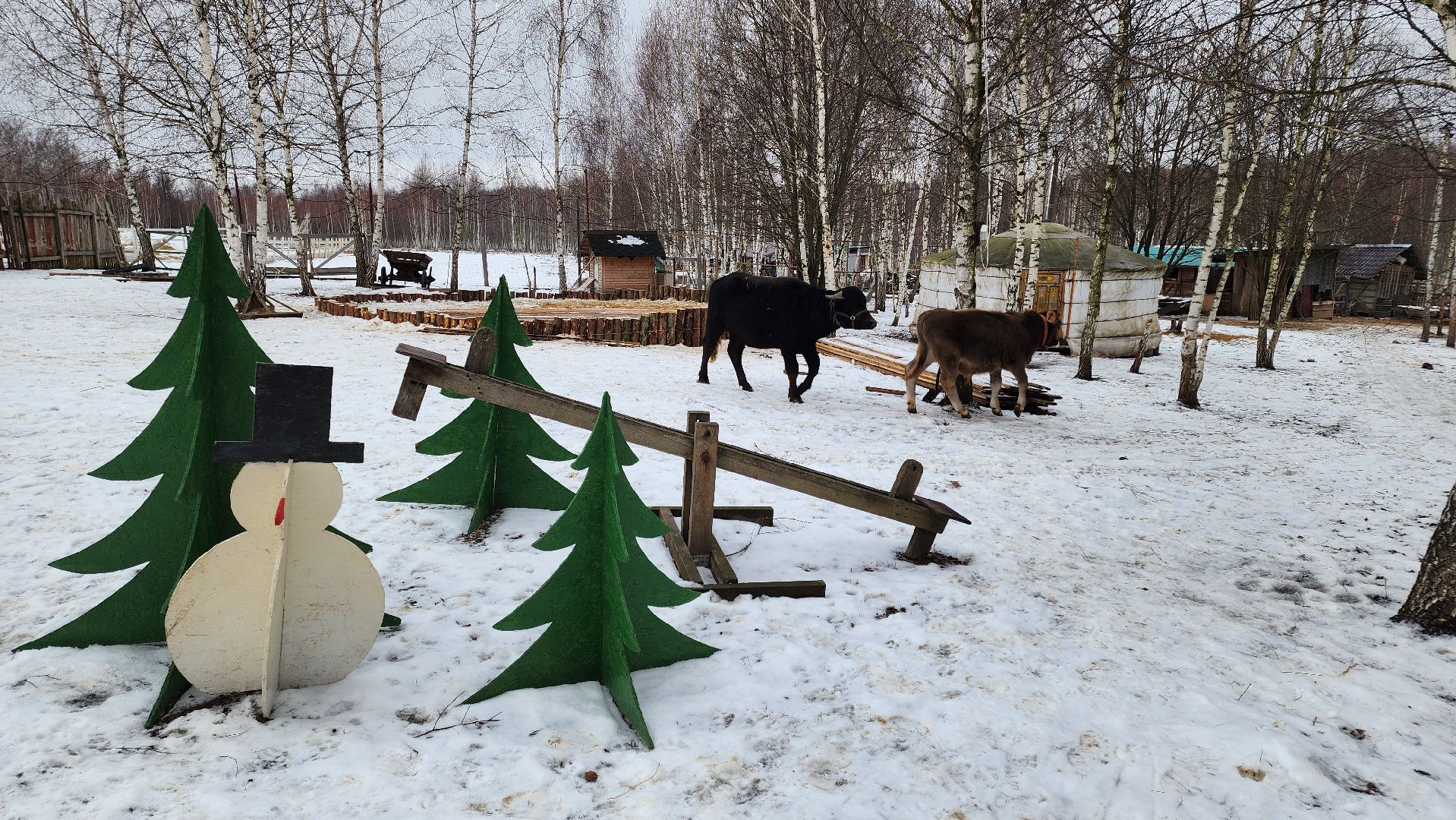 кашира, новогодние каникулы, зоостудия ковчег, животные актёры, фестиваль севера,