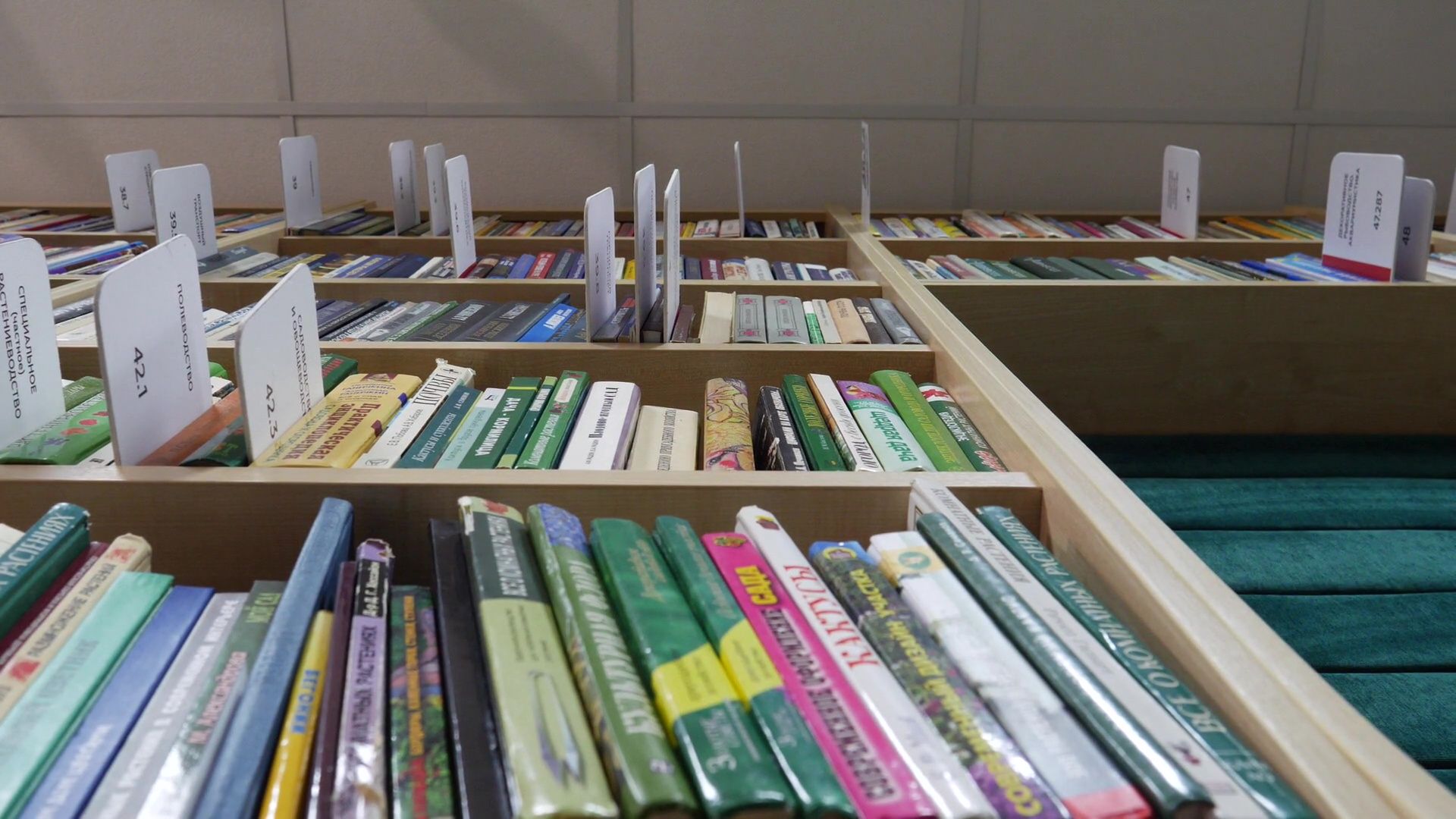 реутов, вертикалки, книги, топ-5, чтение, лучшие книги, библиотека,