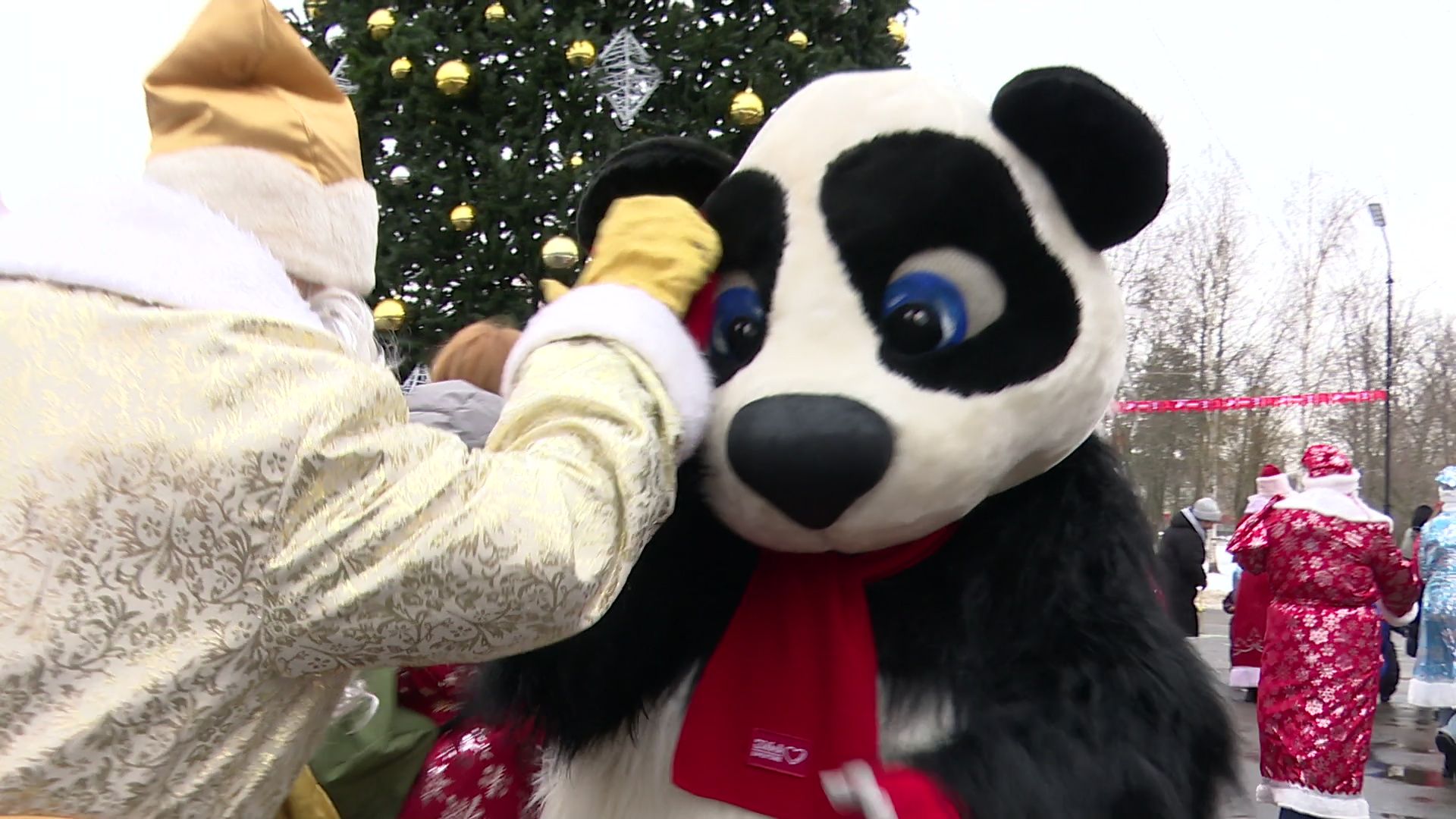 hеутов, вертикалки, деды морозы, поздравление, новый год, новые территории, снегурочки, флешмоб,