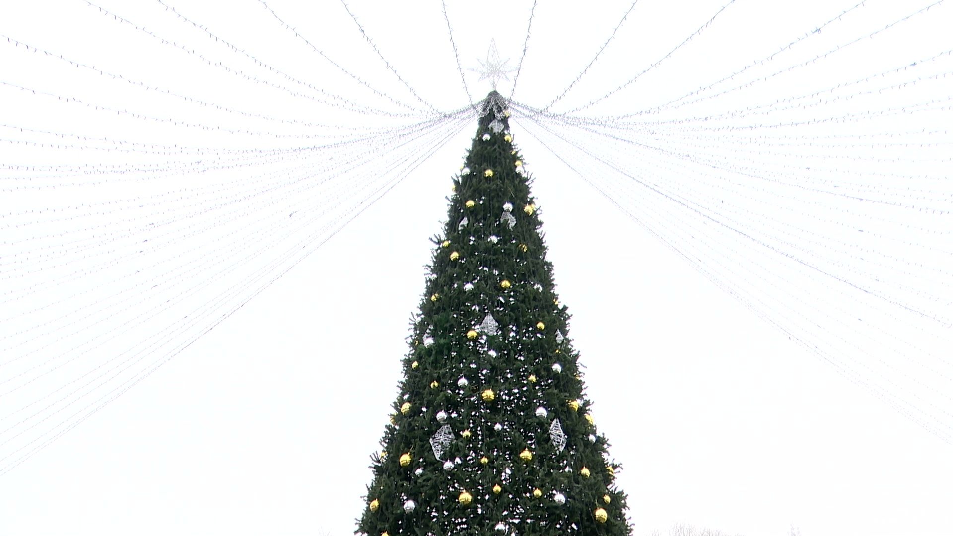 hеутов, вертикалки, деды морозы, поздравление, новый год, новые территории, снегурочки, флешмоб,