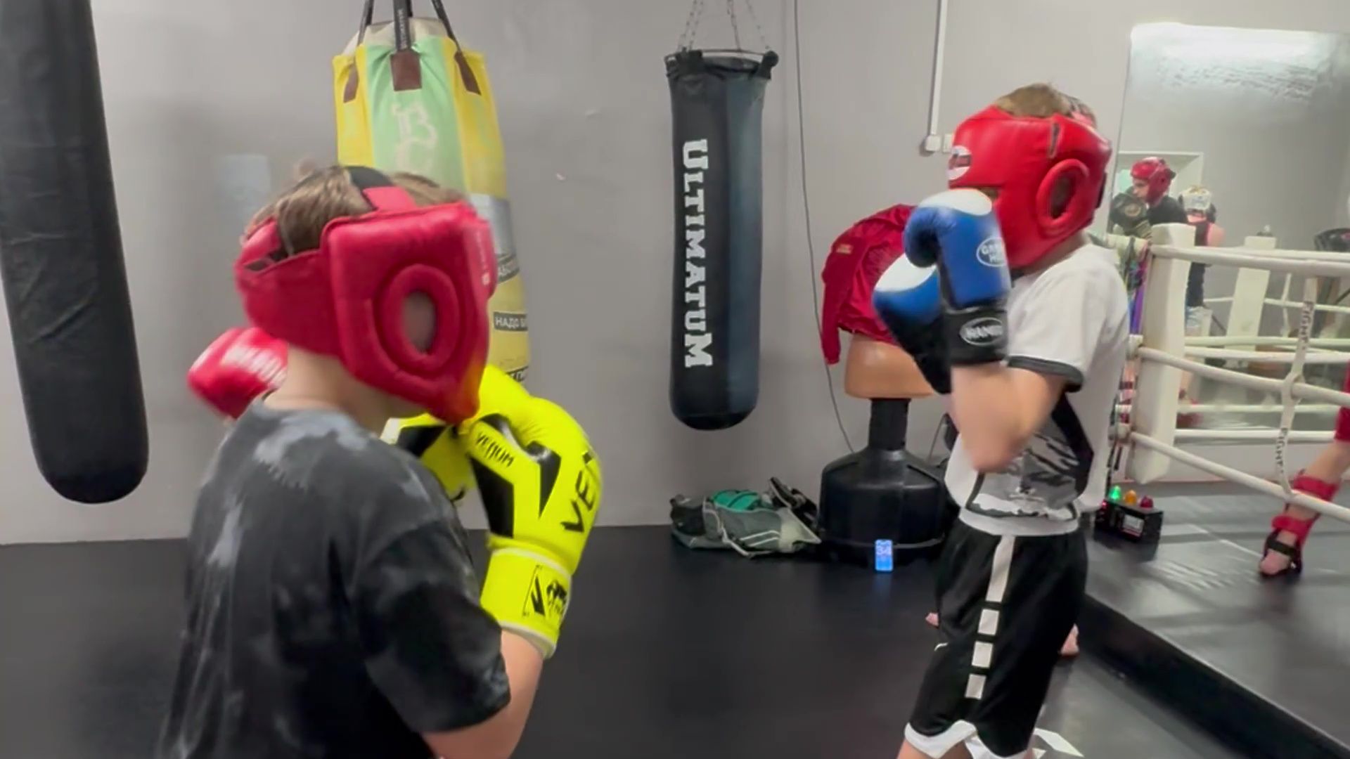 реутов, вертикалки, бокс, кикбоксинг, пересвет, тренировки, спорт,