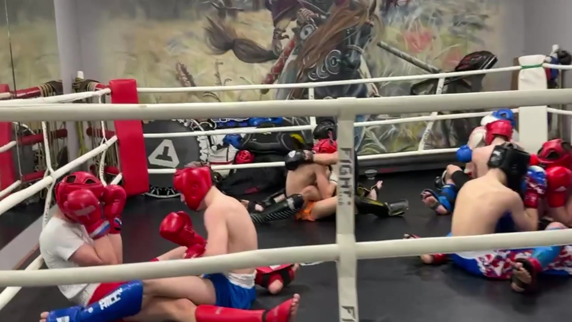 реутов, вертикалки, бокс, кикбоксинг, пересвет, тренировки, спорт,