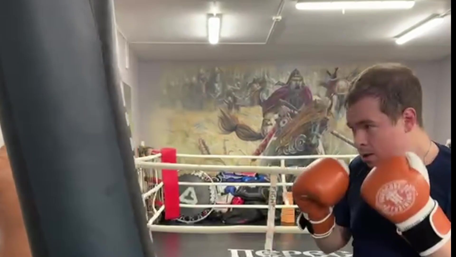 реутов, вертикалки, бокс, кикбоксинг, пересвет, тренировки, спорт,