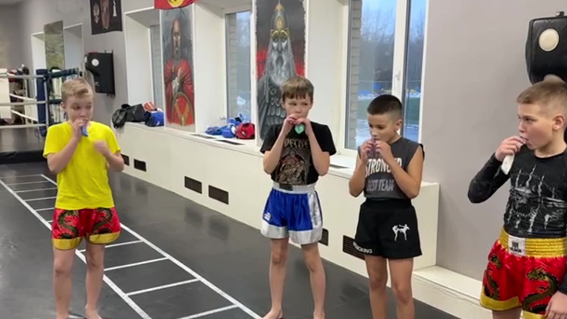 реутов, вертикалки, бокс, кикбоксинг, пересвет, тренировки, спорт,