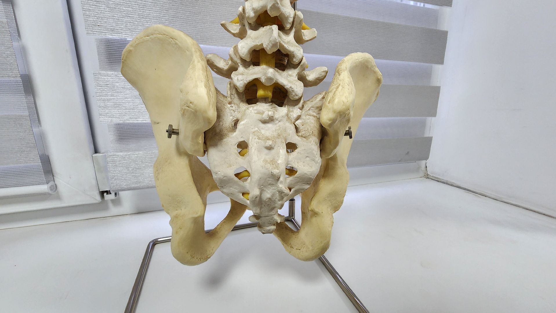 солнечногорск, вертикалки, медицина, нейрохирургия,