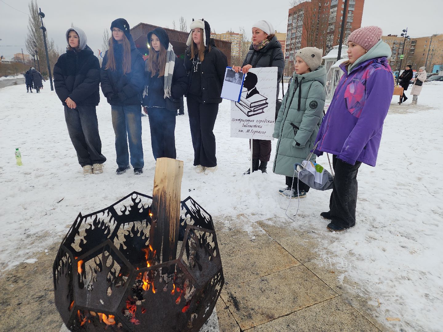 вертикалки, библиотека под открытым небом, культурный код подмосковья, орехово-зуево,