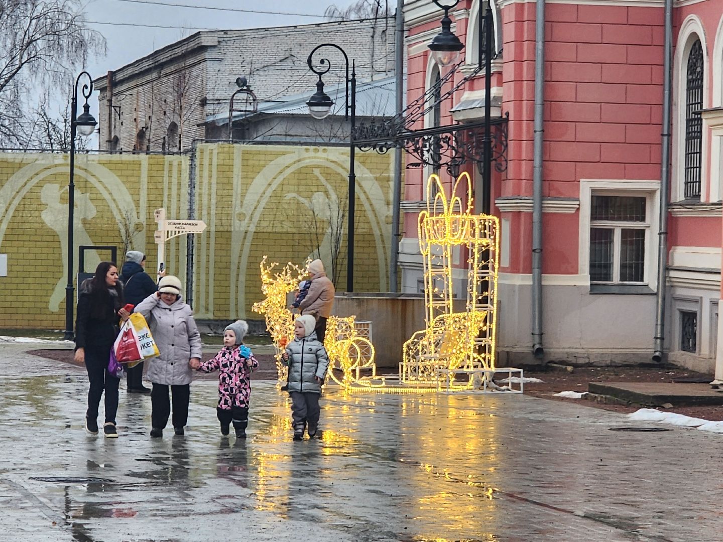 серпухов, Серпуховский историко-художественный музей, новогодняя елка, сво, цветы для снегурочки, вертикалки,