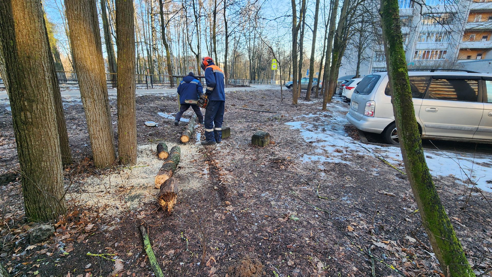 комбинат благоустройства, протвино, портал вместе, заявка на добродел, г о серпухов, вертикалки,