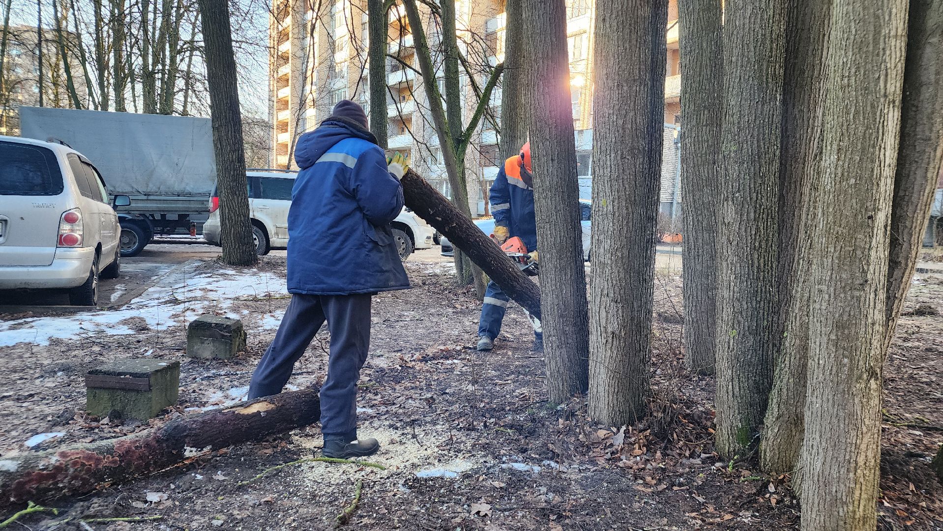 комбинат благоустройства, протвино, портал вместе, заявка на добродел, г о серпухов, вертикалки,