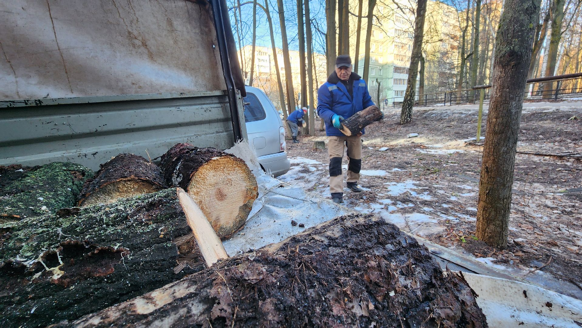 комбинат благоустройства, протвино, портал вместе, заявка на добродел, г о серпухов, вертикалки,