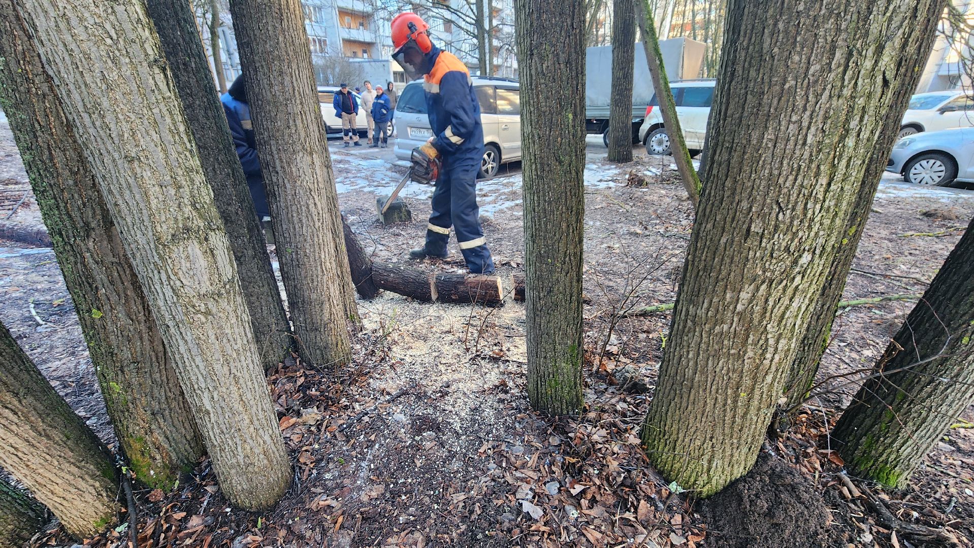 комбинат благоустройства, протвино, портал вместе, заявка на добродел, г о серпухов, вертикалки,