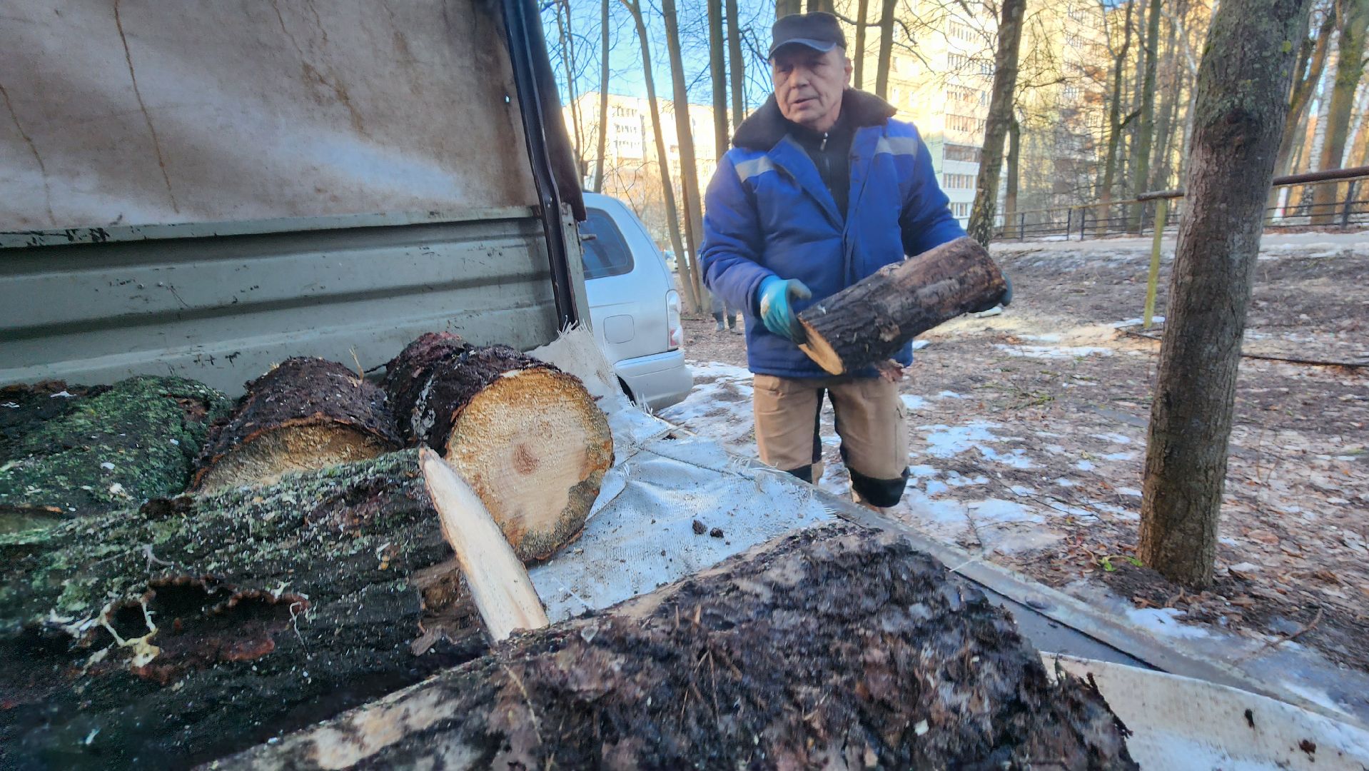 комбинат благоустройства, протвино, портал вместе, заявка на добродел, г о серпухов, вертикалки,