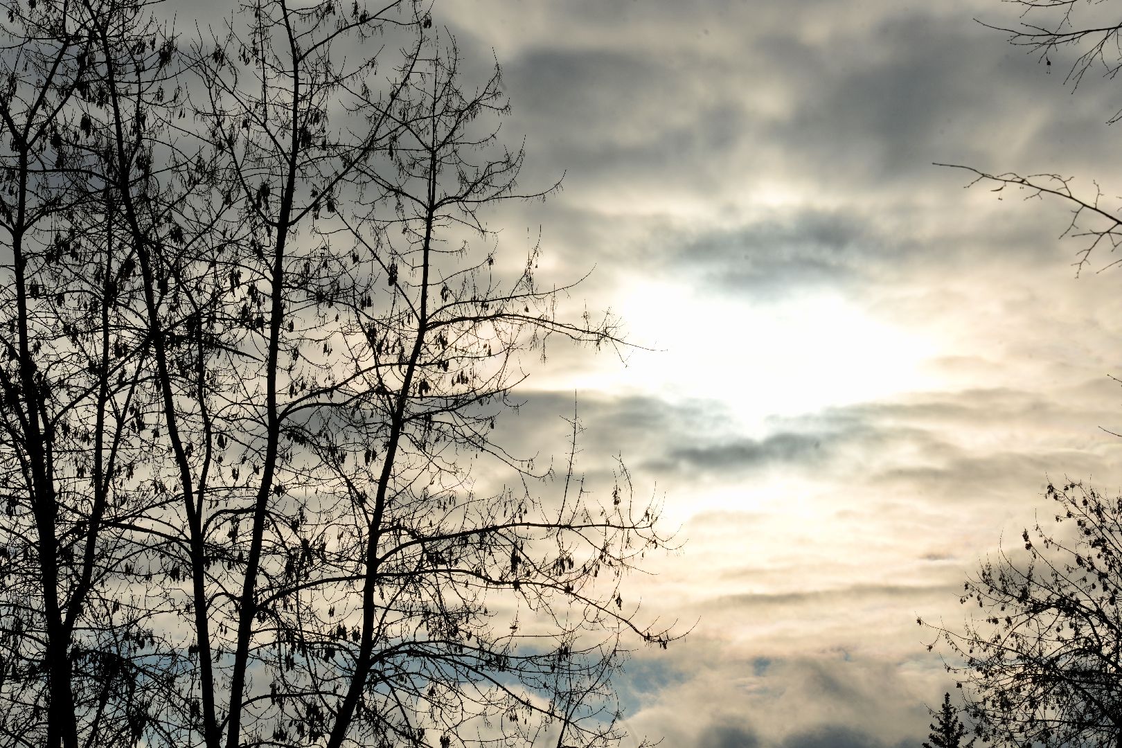 погода, сергиев посад, сергиево-посадский городской округ, январь, прогноз погоды, выходные, зима,