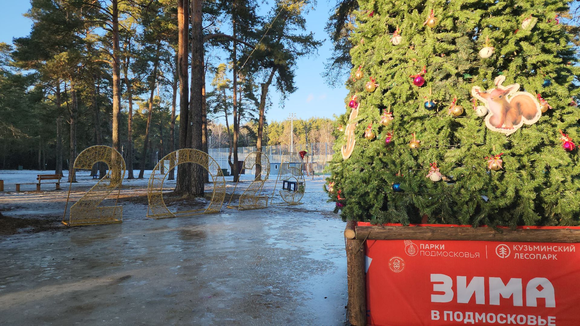 котельники, лесопарк, праздник, занятия, активности, зима в подмосковье,