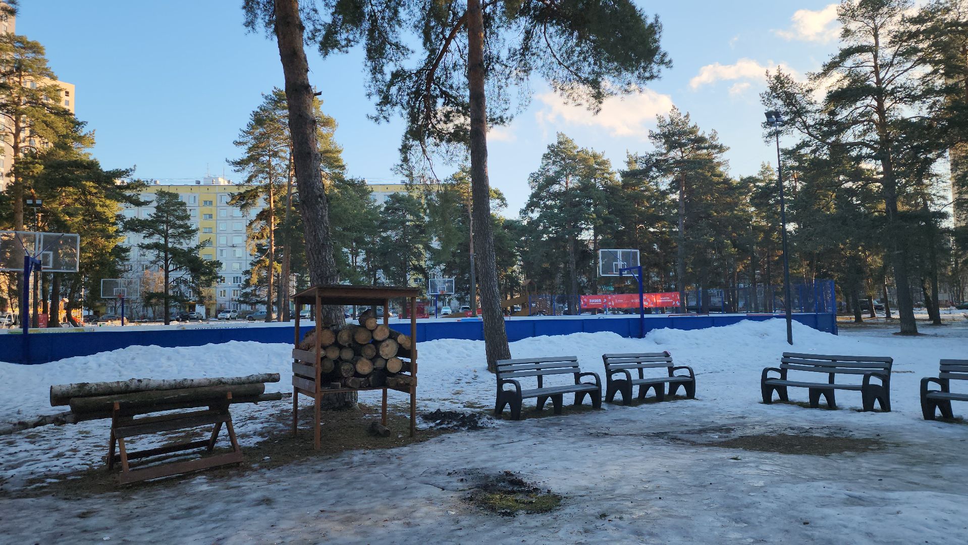 котельники, лесопарк, праздник, занятия, активности, зима в подмосковье,