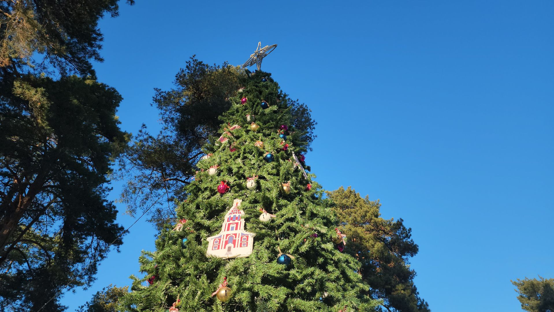 котельники, лесопарк, праздник, занятия, активности, зима в подмосковье,