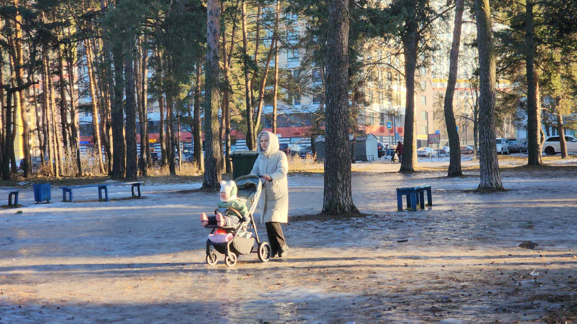 котельники, лесопарк, праздник, занятия, активности, зима в подмосковье,