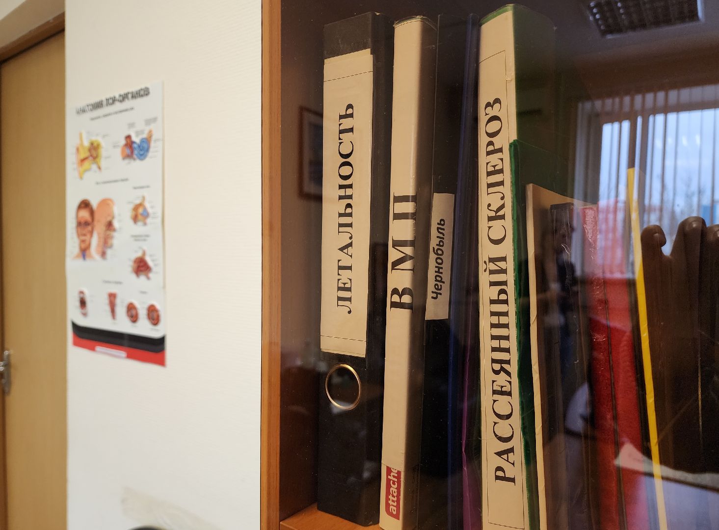 вертикалки, красногорск, медицина, терапевт, советы врачей,