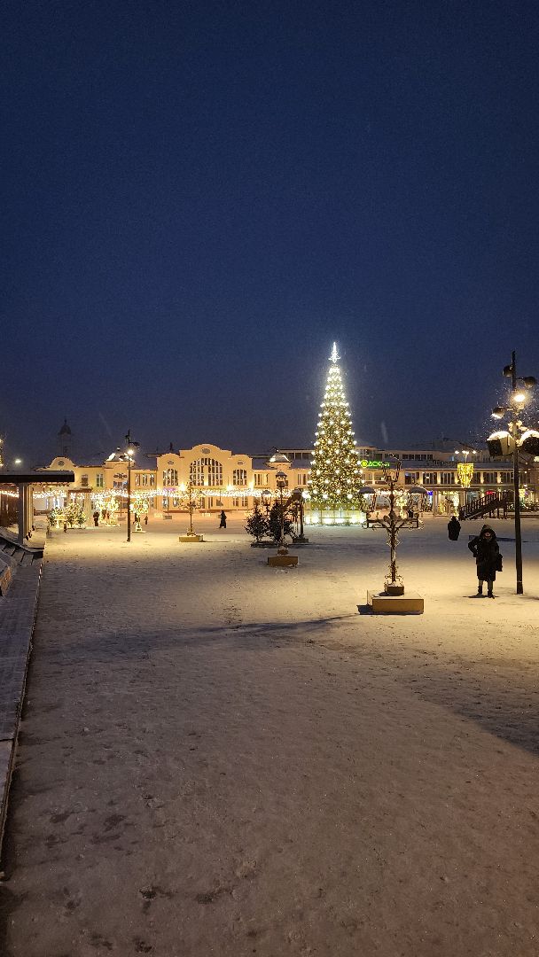 конкурс елки России, елка Богородский бал, Фонтанная площадь, Ногинск, Богородский городской округ,