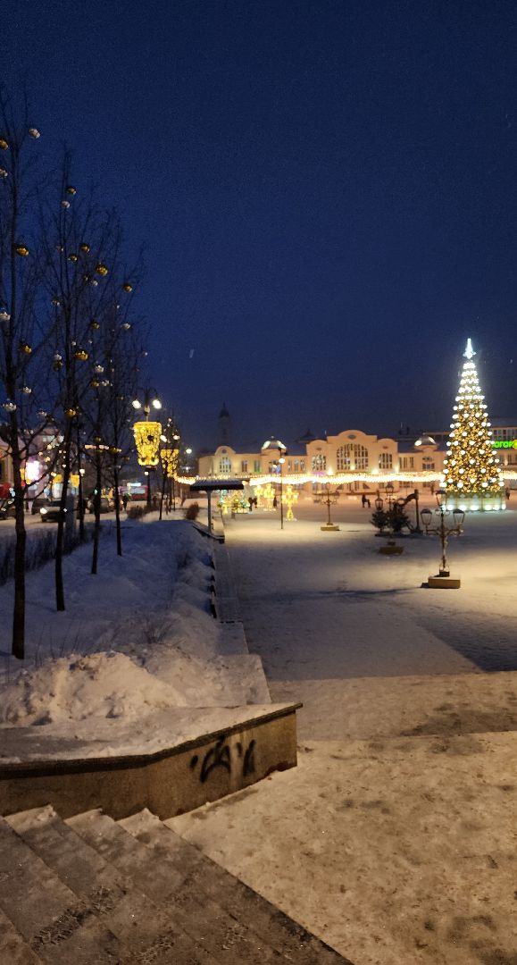 конкурс елки России, елка Богородский бал, Фонтанная площадь, Ногинск, Богородский городской округ,